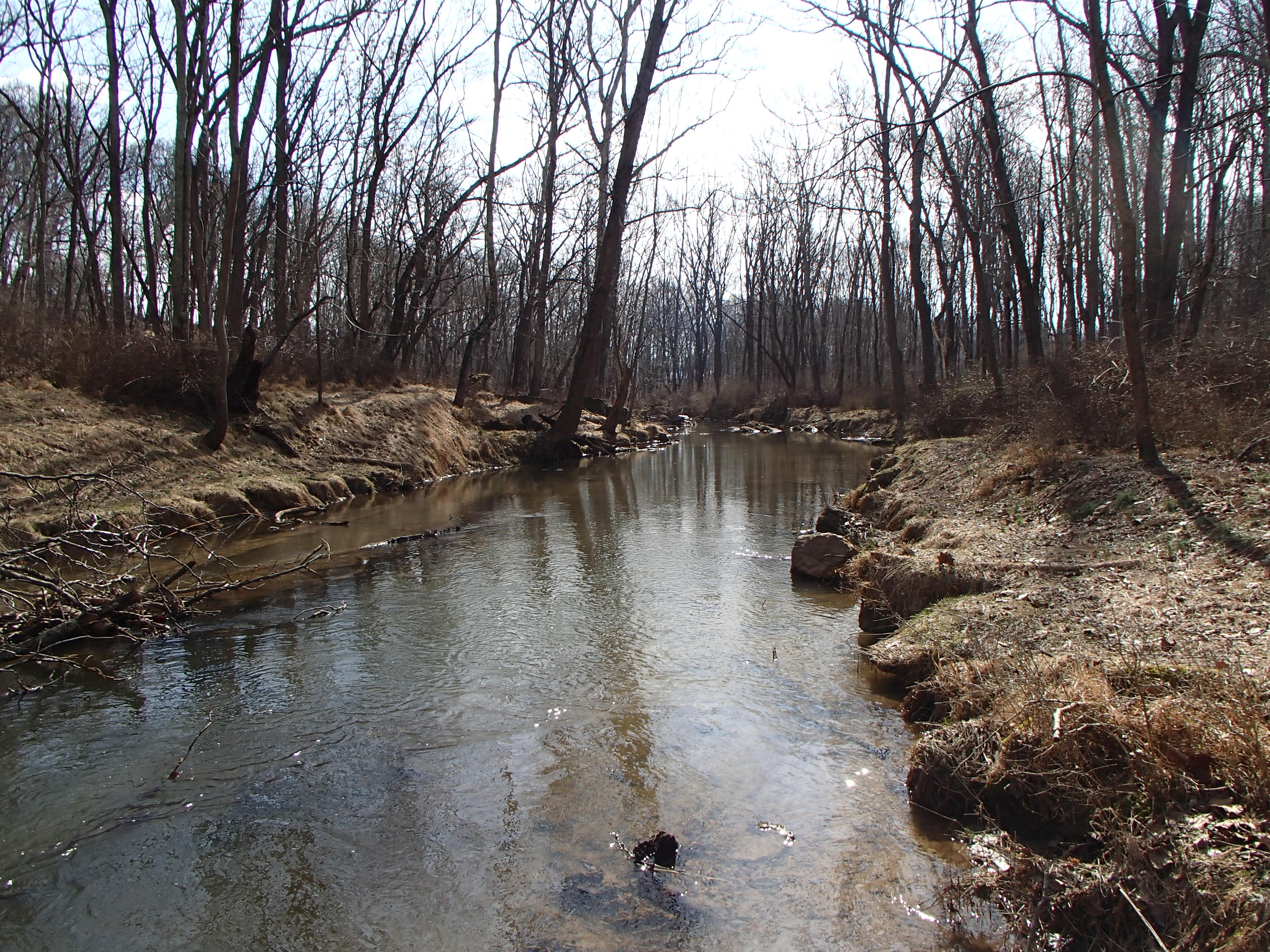 Field photo showing stream conditions at site SBPA-206-X-2016_midpoint looking downstream